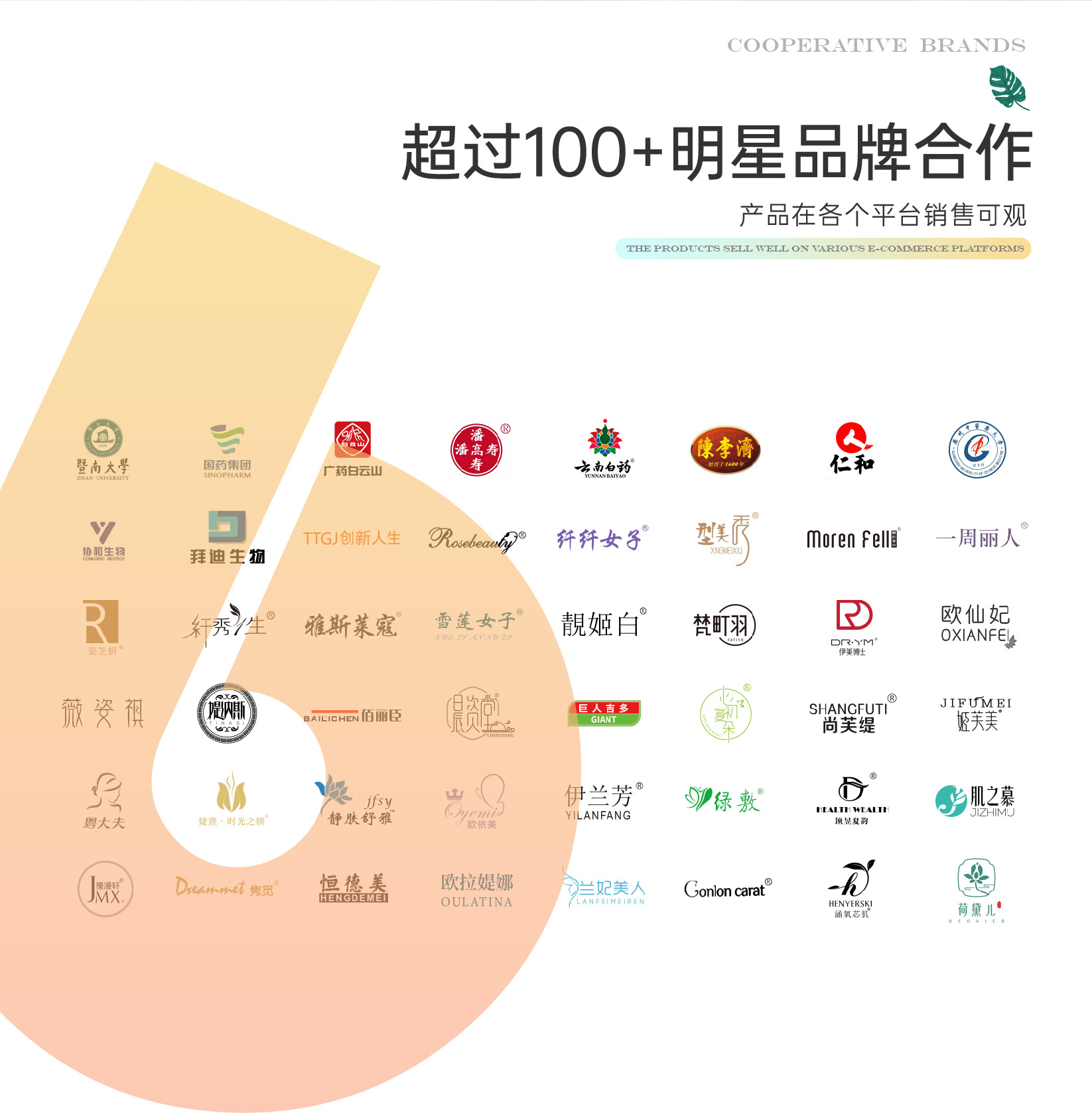 详情·通用版·橙子-08